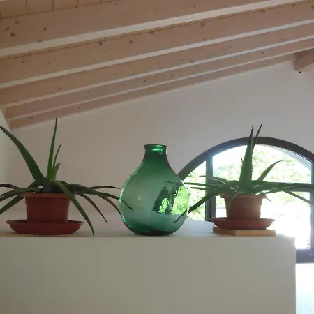 Bed & Breakfast Ca' Del Portego Tessera